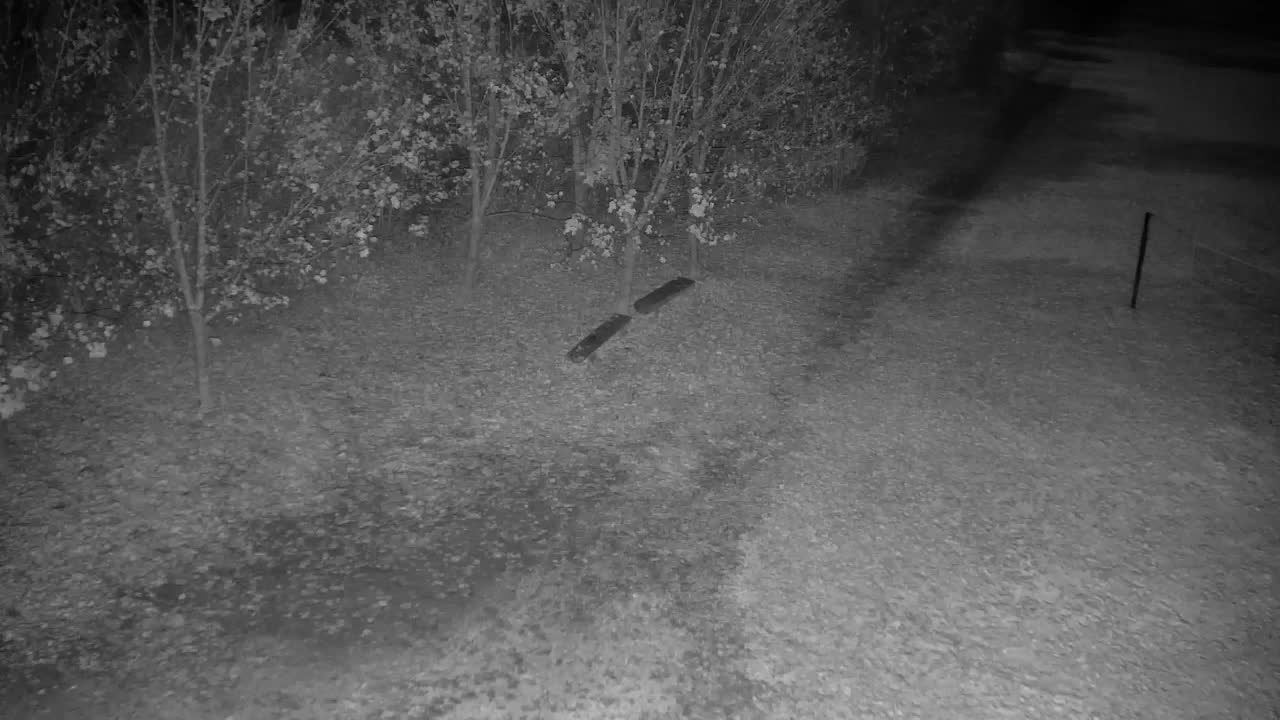 Webcam Ribnik Vrbje – Žalec