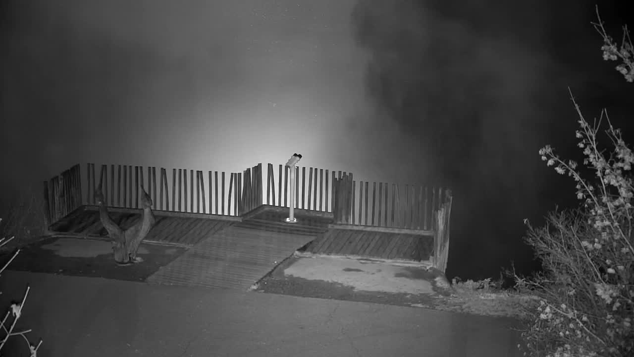 Web kamera Ribnik Vrbje – Žalec