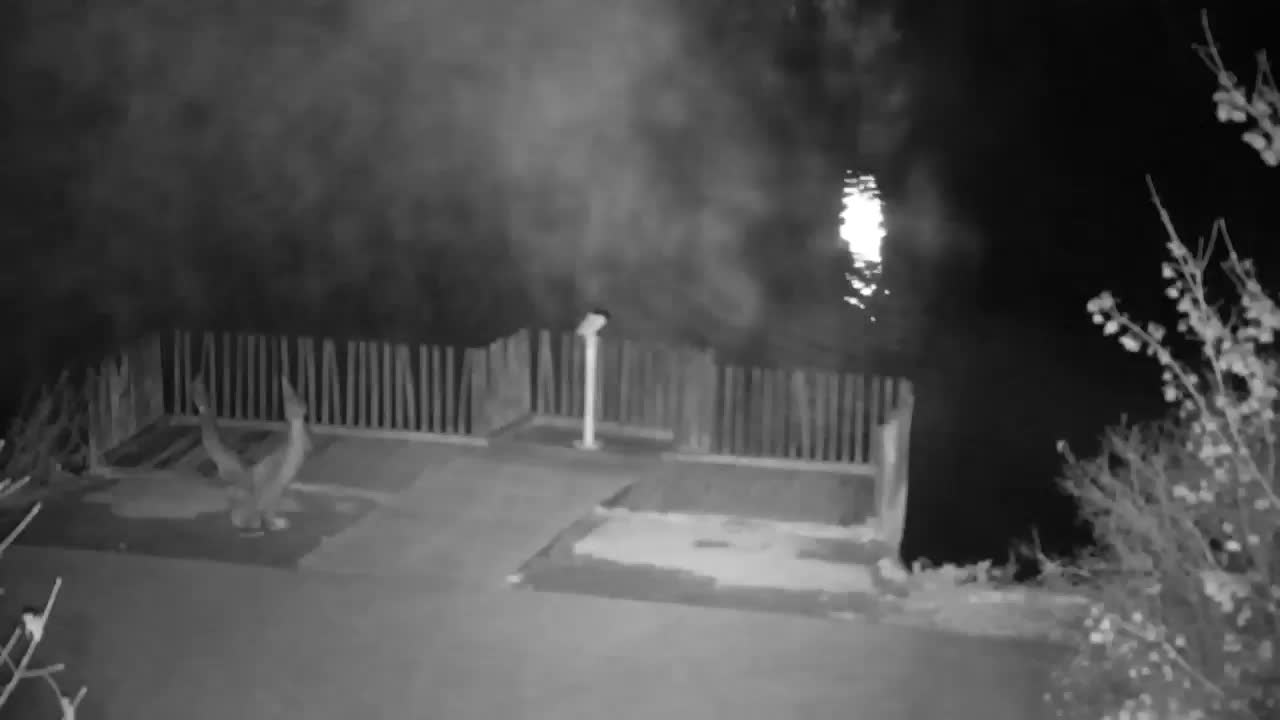 Web kamera Ribnik Vrbje – Žalec