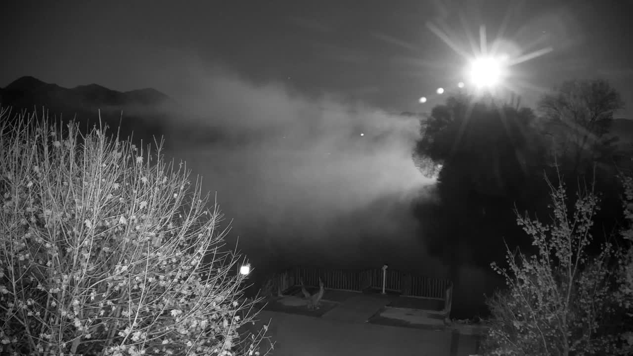 Webcam Ribnik Vrbje – Žalec