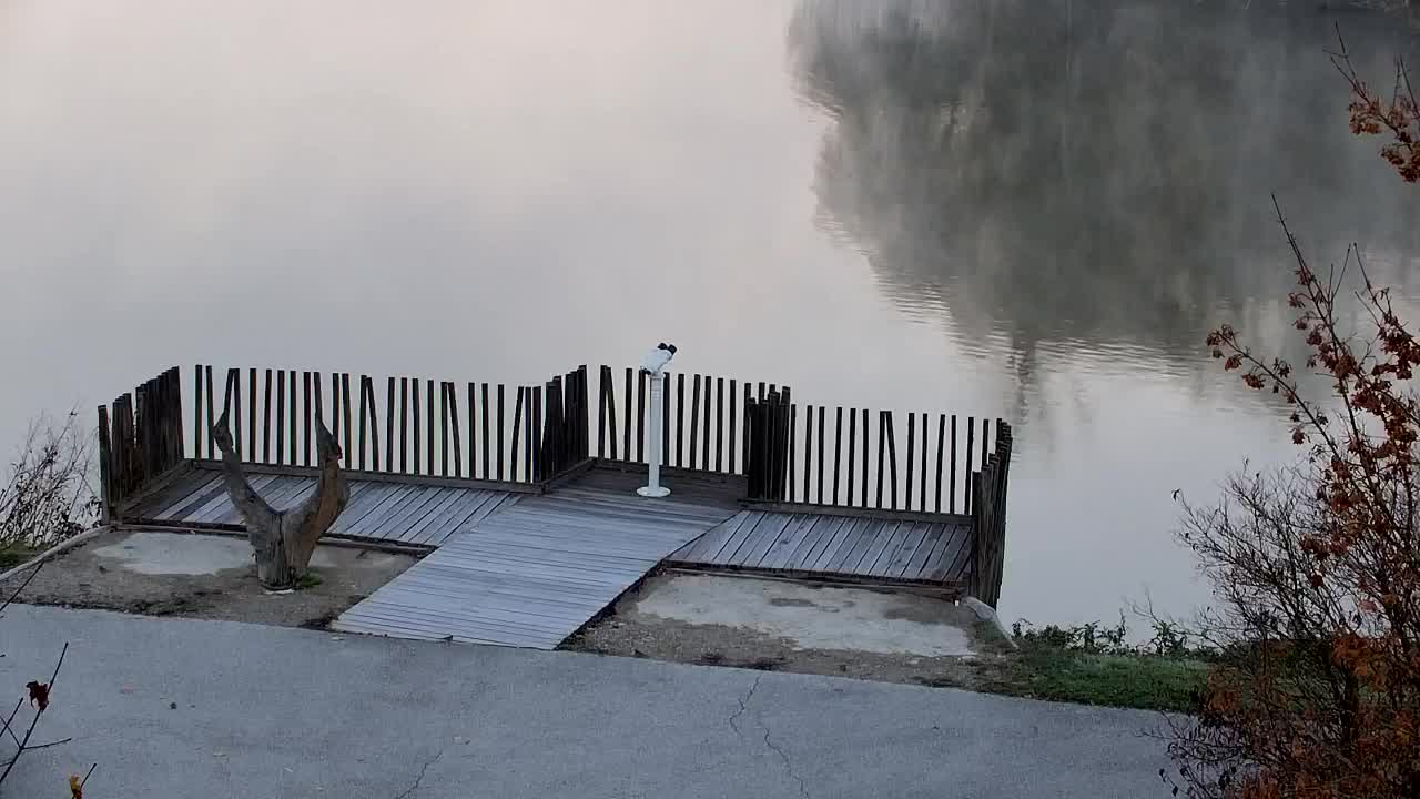 Web kamera Ribnik Vrbje – Žalec