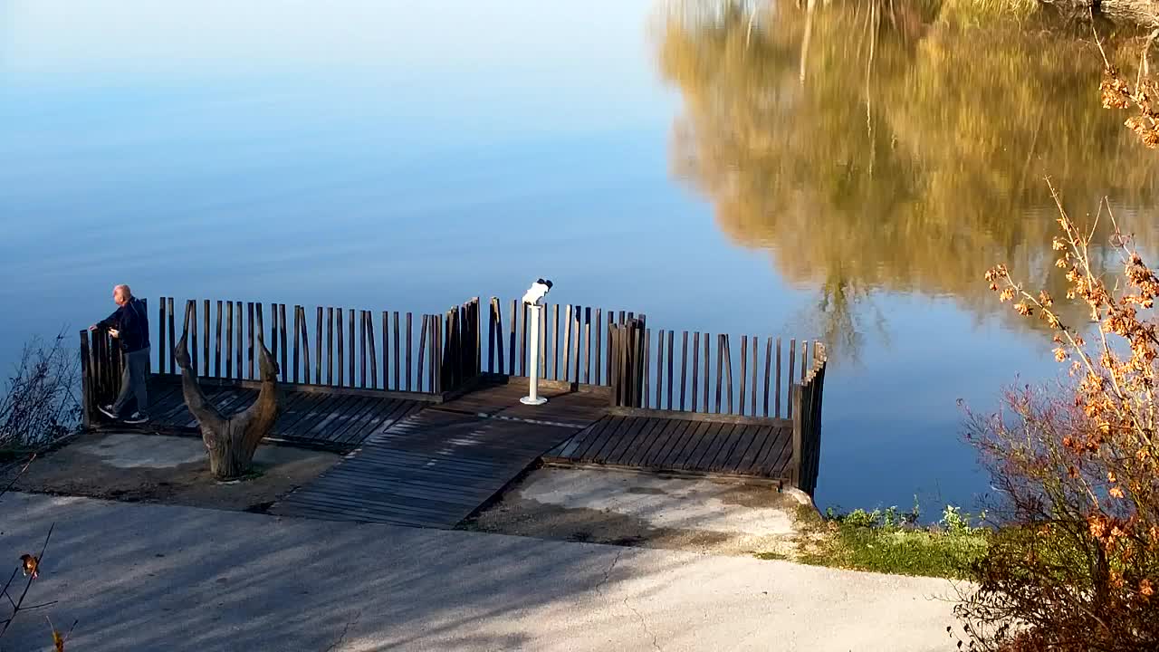 Spletna kamera Ribnik Vrbje – Žalec