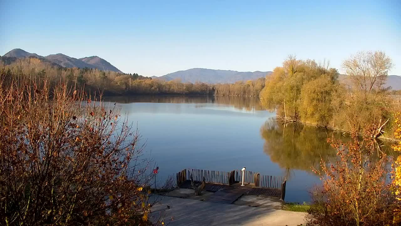 Webcam Ribnik Vrbje – Žalec