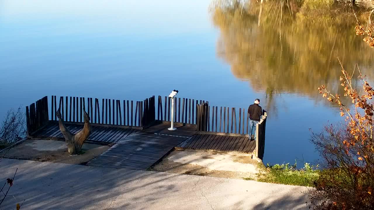 Spletna kamera Ribnik Vrbje – Žalec