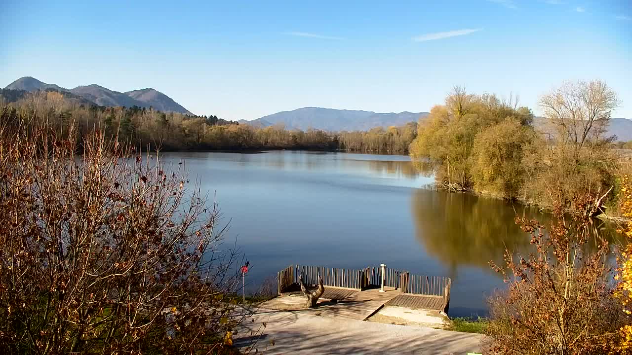 Spletna kamera Ribnik Vrbje – Žalec