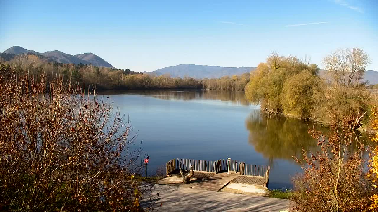 Webcam Ribnik Vrbje – Žalec