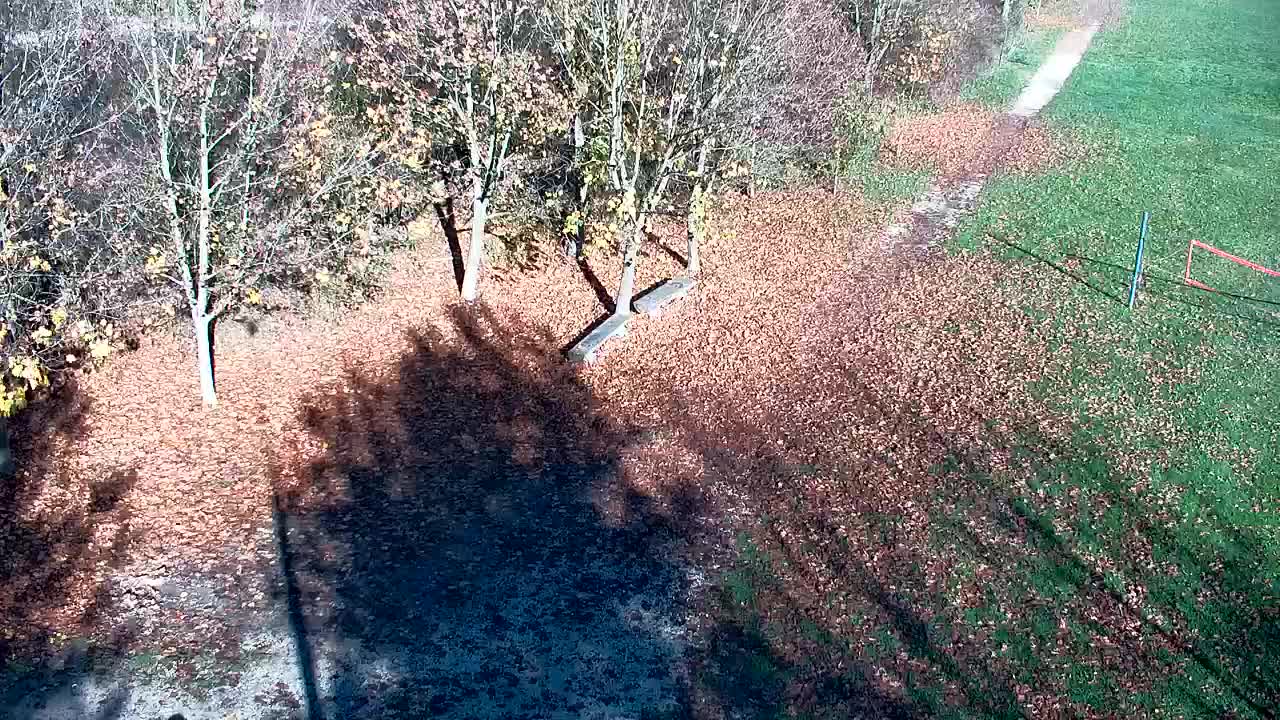 Webcam Ribnik Vrbje – Žalec