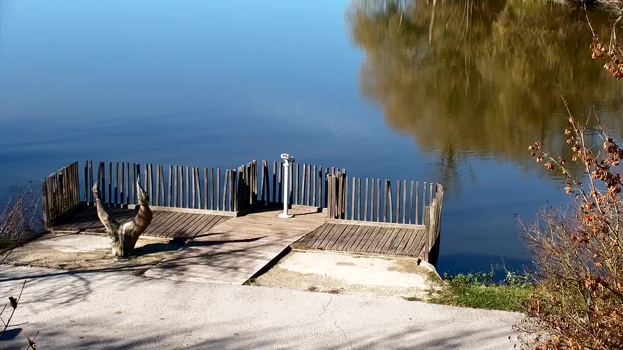 Webcam Ribnik Vrbje – Žalec