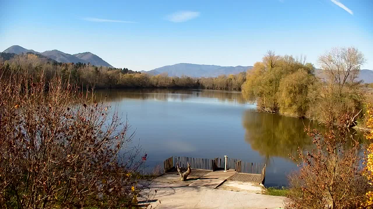 Spletna kamera Ribnik Vrbje – Žalec