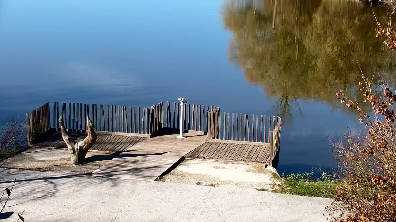 Spletna kamera Ribnik Vrbje – Žalec