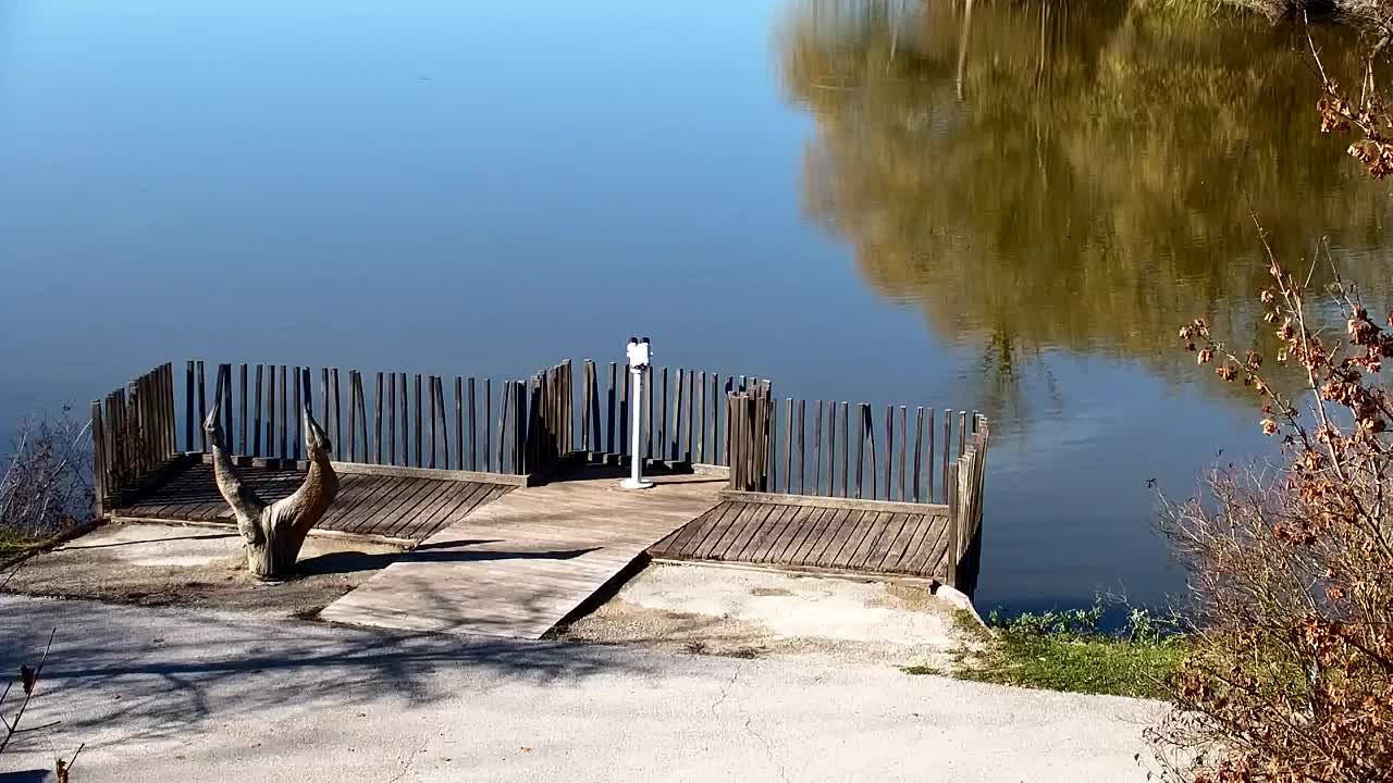 Web kamera Ribnik Vrbje – Žalec