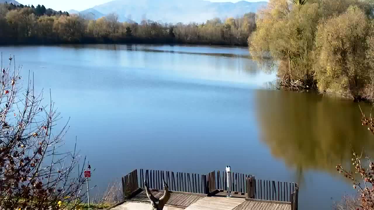 Web kamera Ribnik Vrbje – Žalec