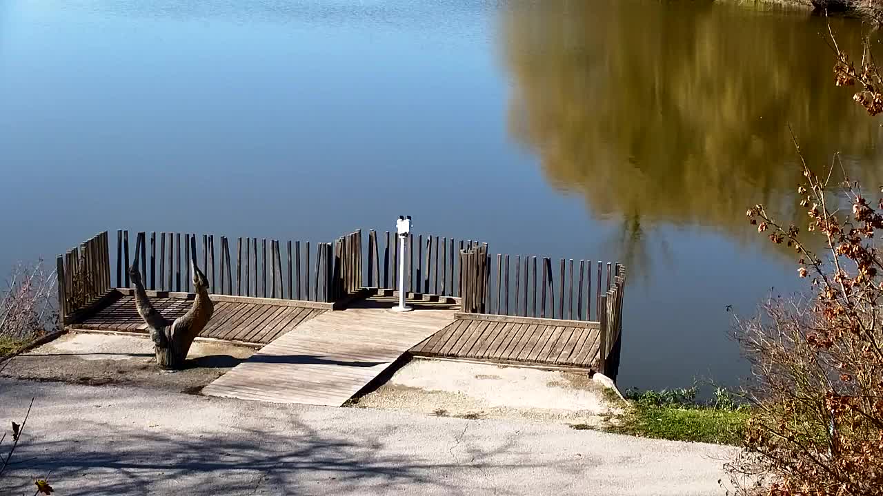 Webcam Ribnik Vrbje – Žalec