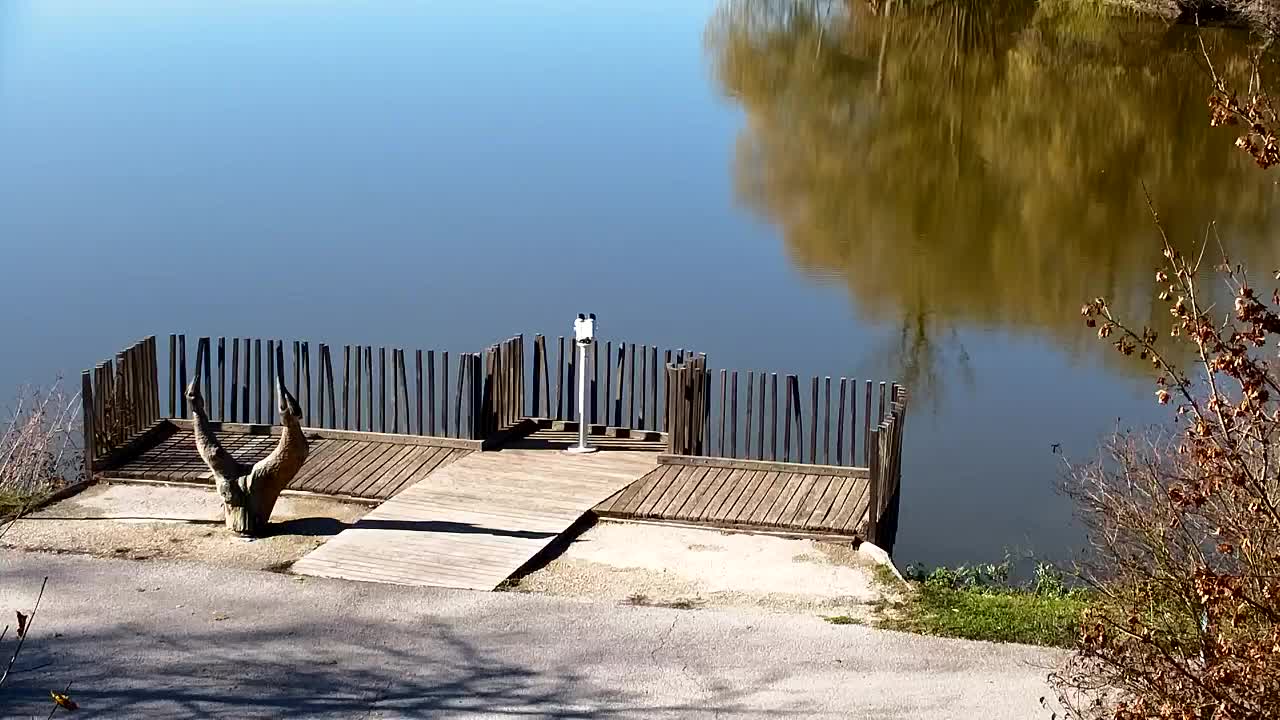 Webcam Ribnik Vrbje – Žalec