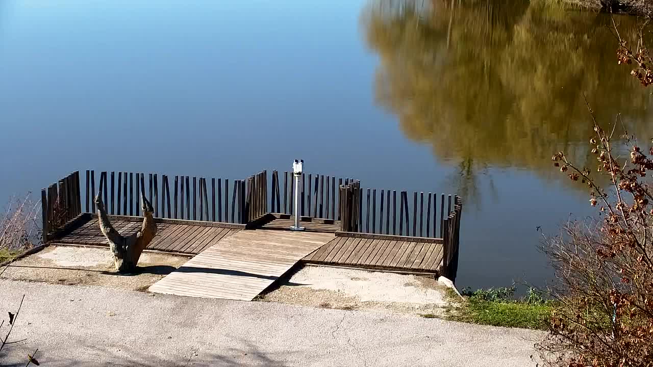 Webcam Ribnik Vrbje – Žalec