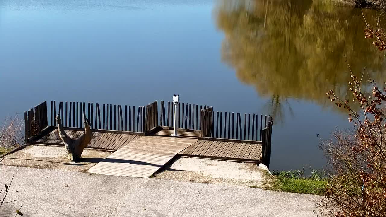 Webcam Ribnik Vrbje – Žalec