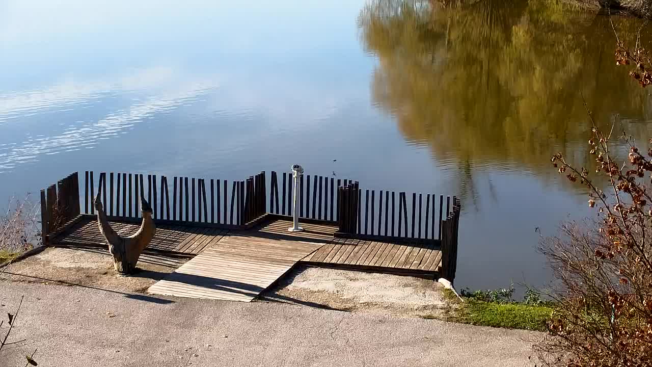 Spletna kamera Ribnik Vrbje – Žalec