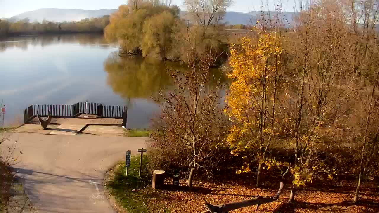 Web kamera Ribnik Vrbje – Žalec