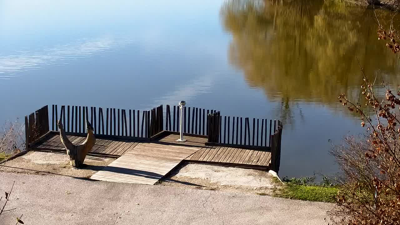 Webcam Ribnik Vrbje – Žalec