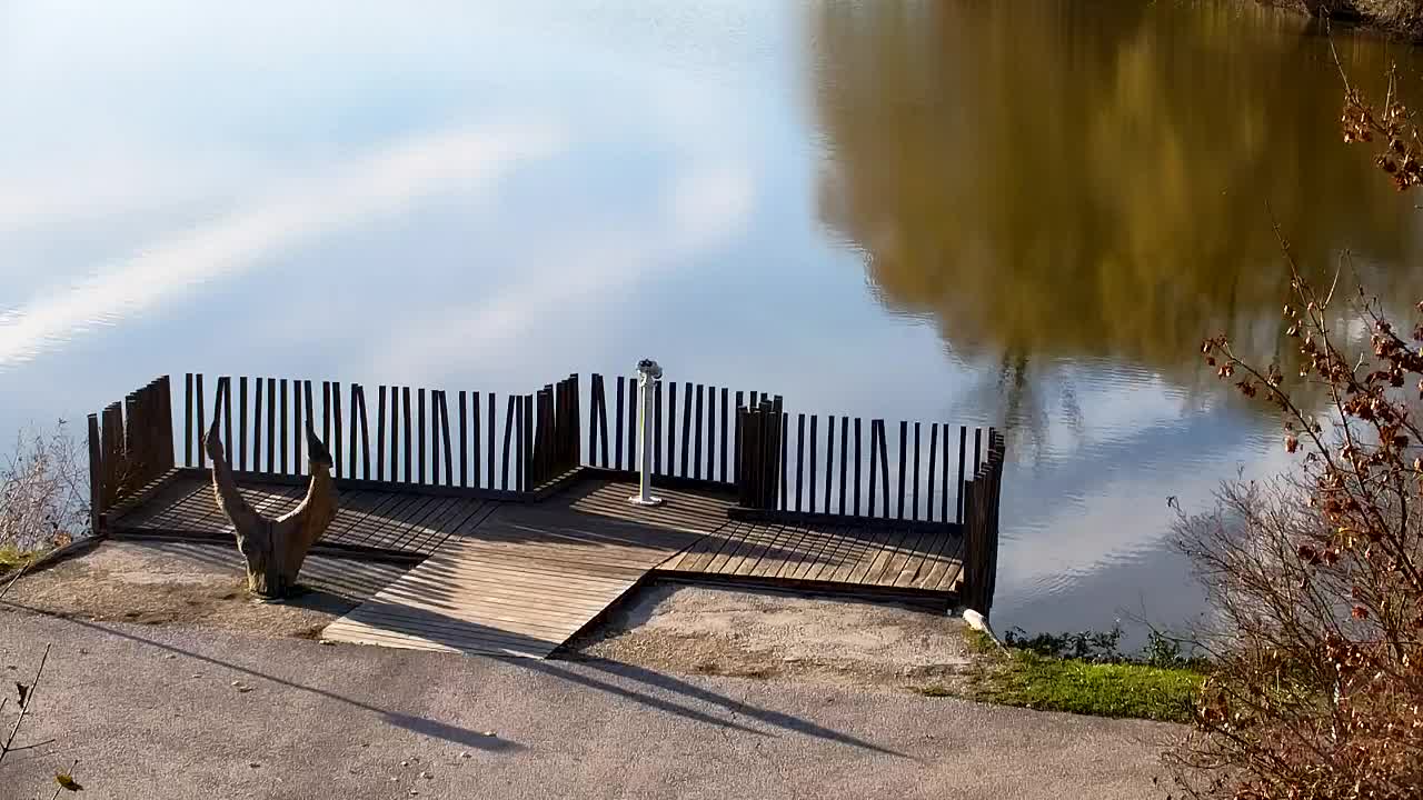 Webcam Ribnik Vrbje – Žalec