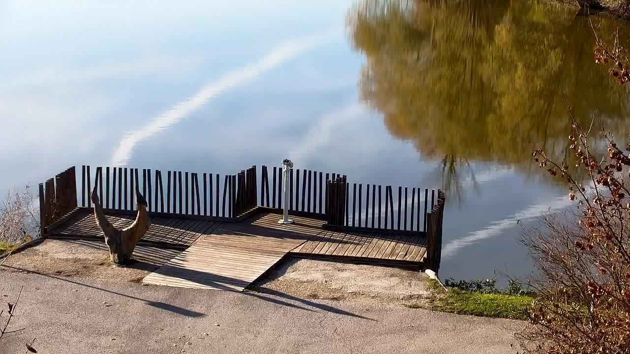Webcam Ribnik Vrbje – Žalec