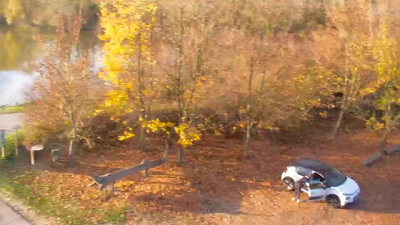 Webcam Ribnik Vrbje – Žalec