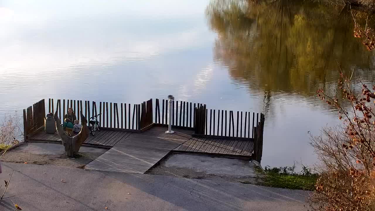 Webcam Ribnik Vrbje – Žalec