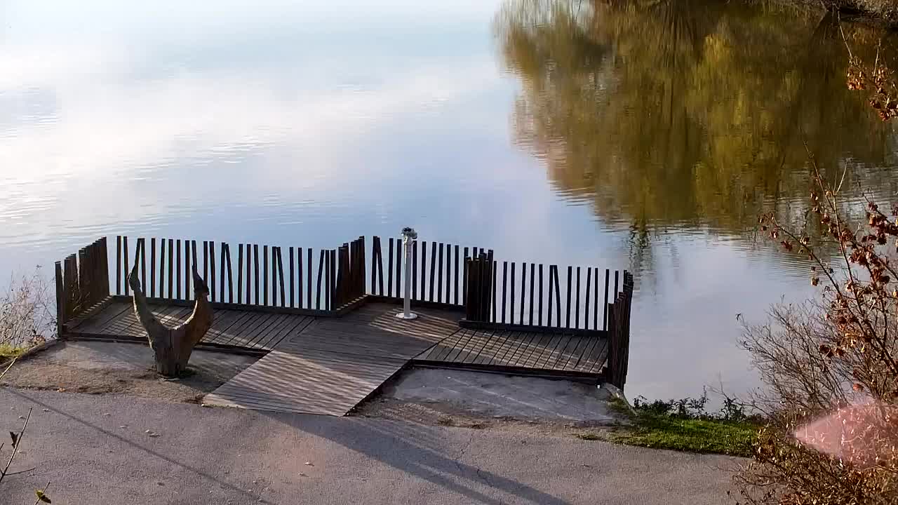 Webcam Ribnik Vrbje – Žalec