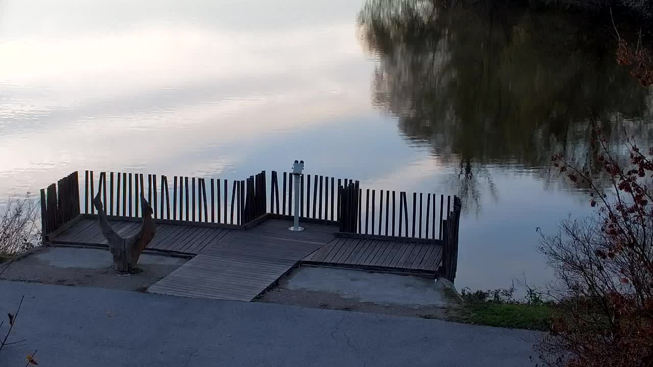 Webcam Ribnik Vrbje – Žalec