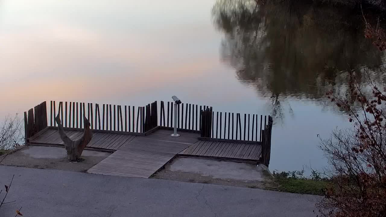 Spletna kamera Ribnik Vrbje – Žalec