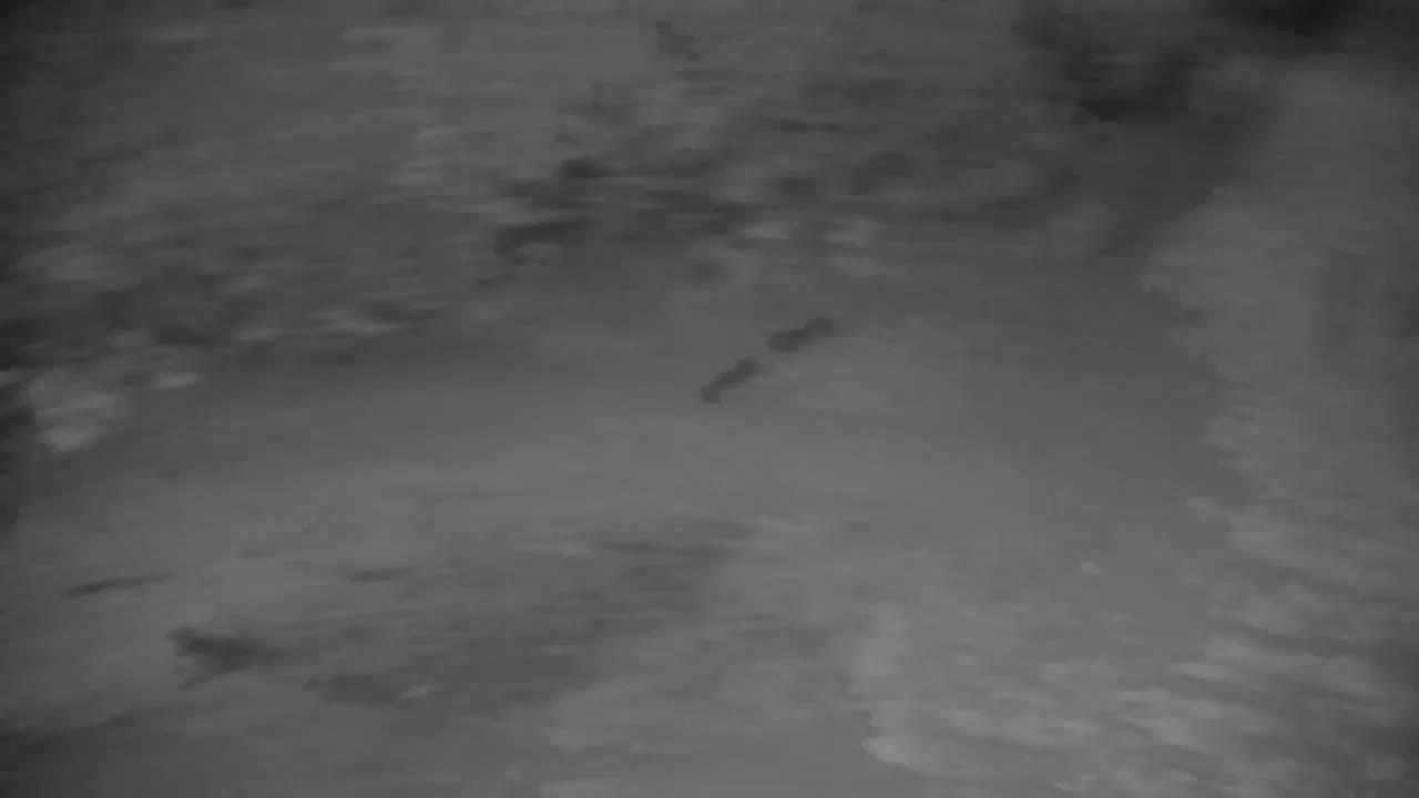 Webcam Ribnik Vrbje – Žalec