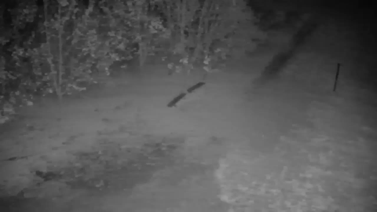 Webcam Ribnik Vrbje – Žalec