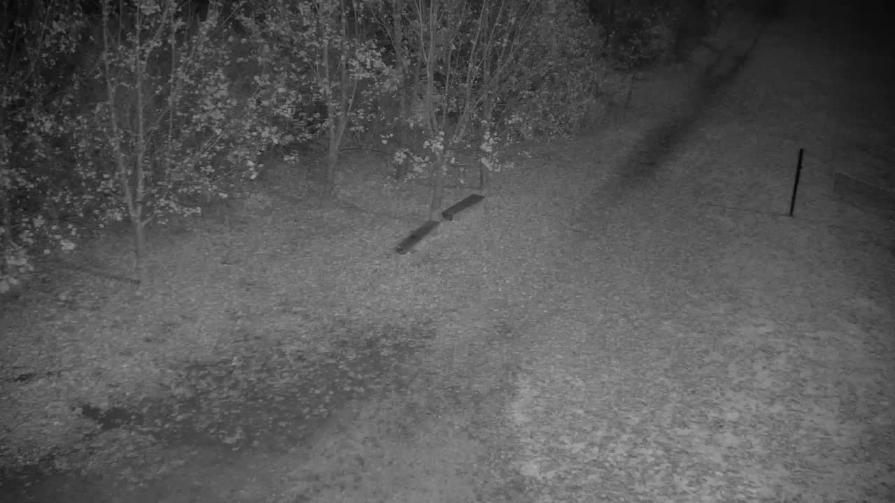 Webcam Ribnik Vrbje – Žalec