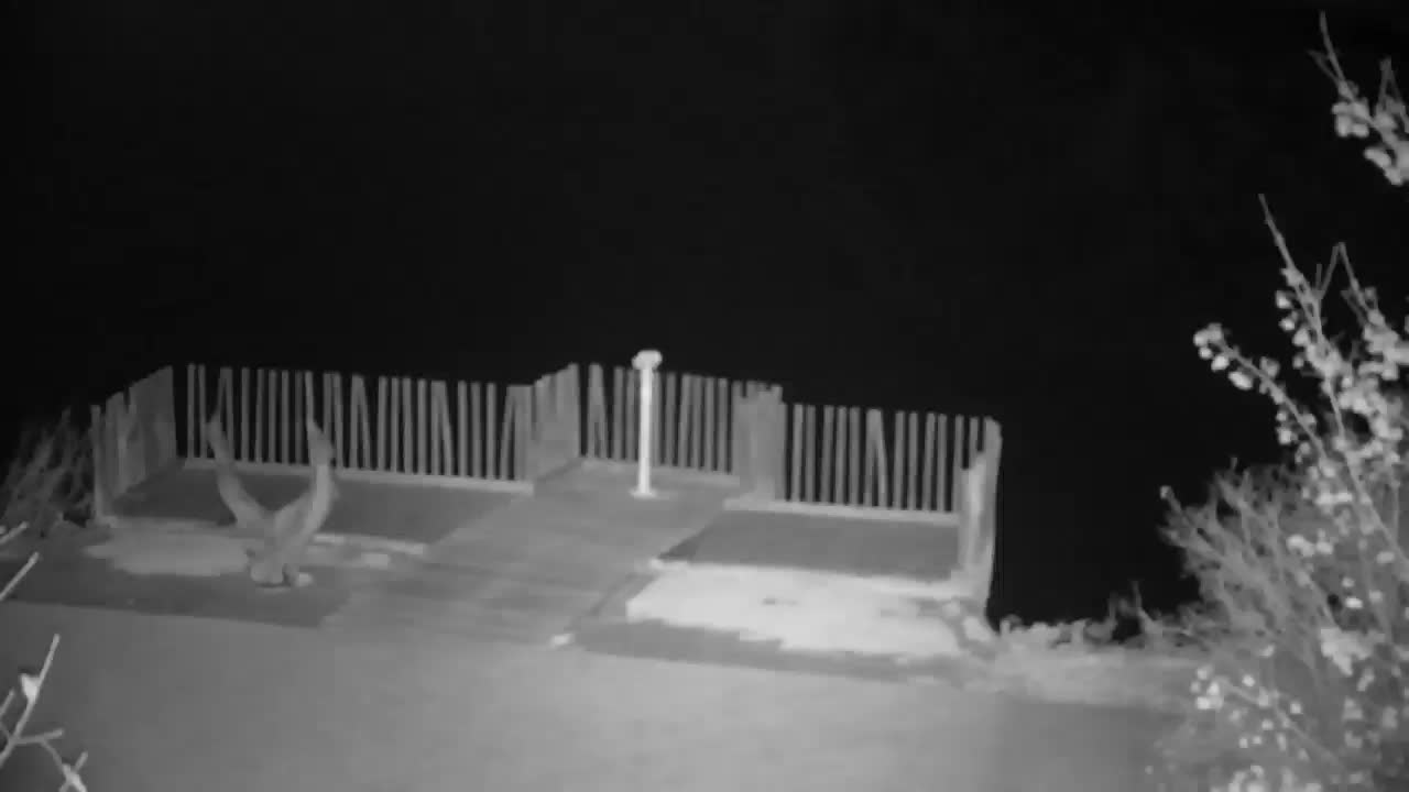 Webcam Ribnik Vrbje – Žalec