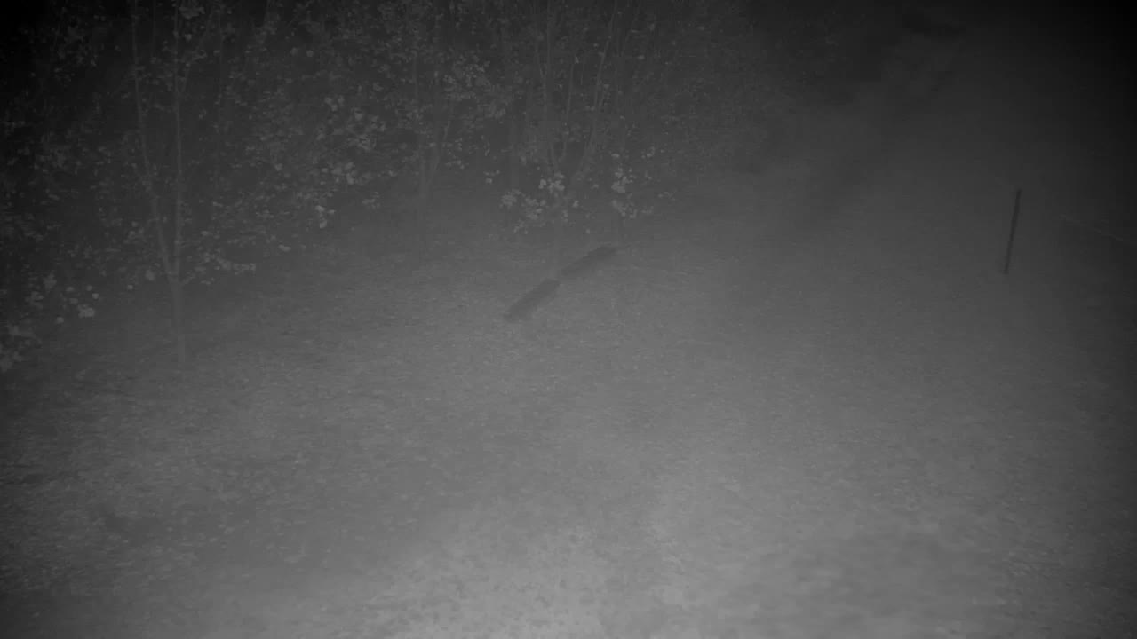 Web kamera Ribnik Vrbje – Žalec