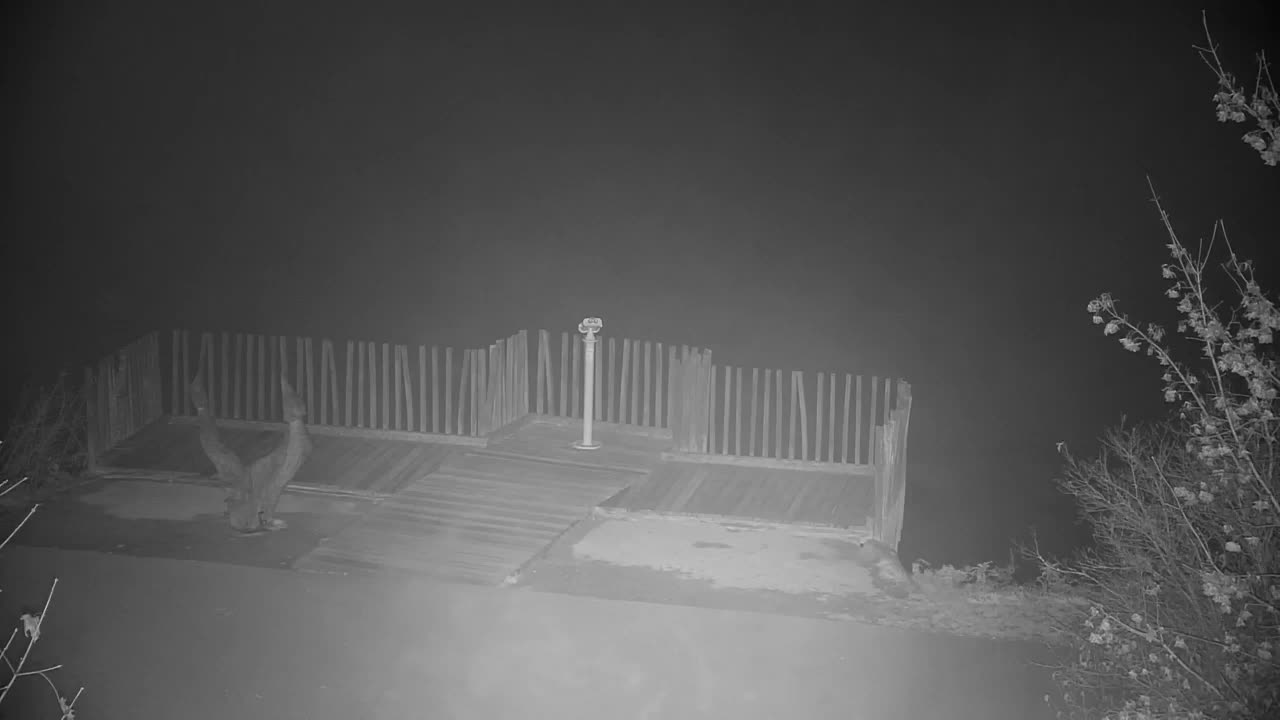 Webcam Ribnik Vrbje – Žalec