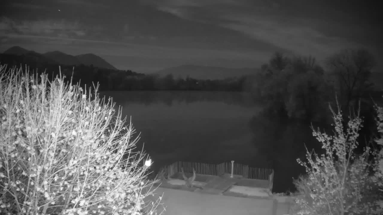 Webcam Ribnik Vrbje – Žalec