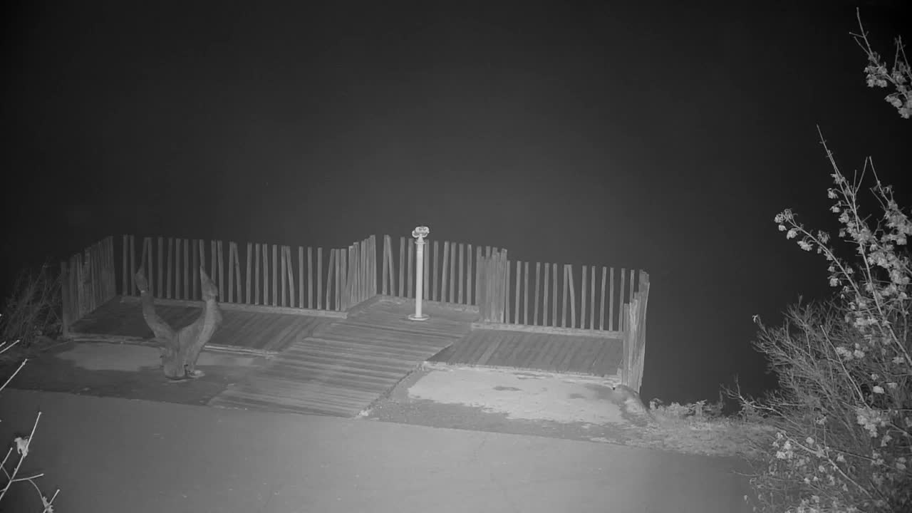 Webcam Ribnik Vrbje – Žalec