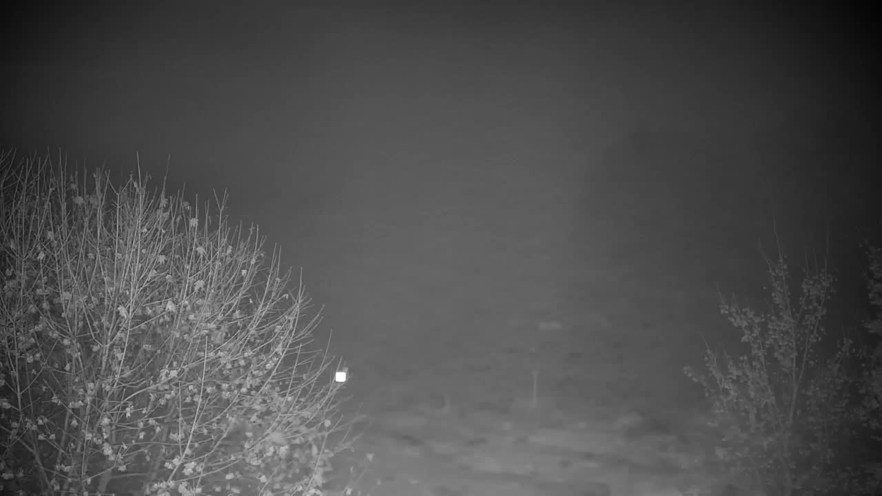 Webcam Ribnik Vrbje – Žalec