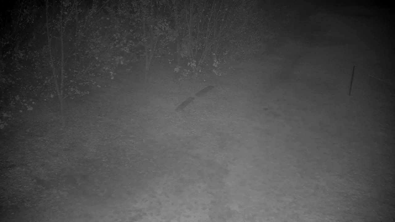 Webcam Ribnik Vrbje – Žalec