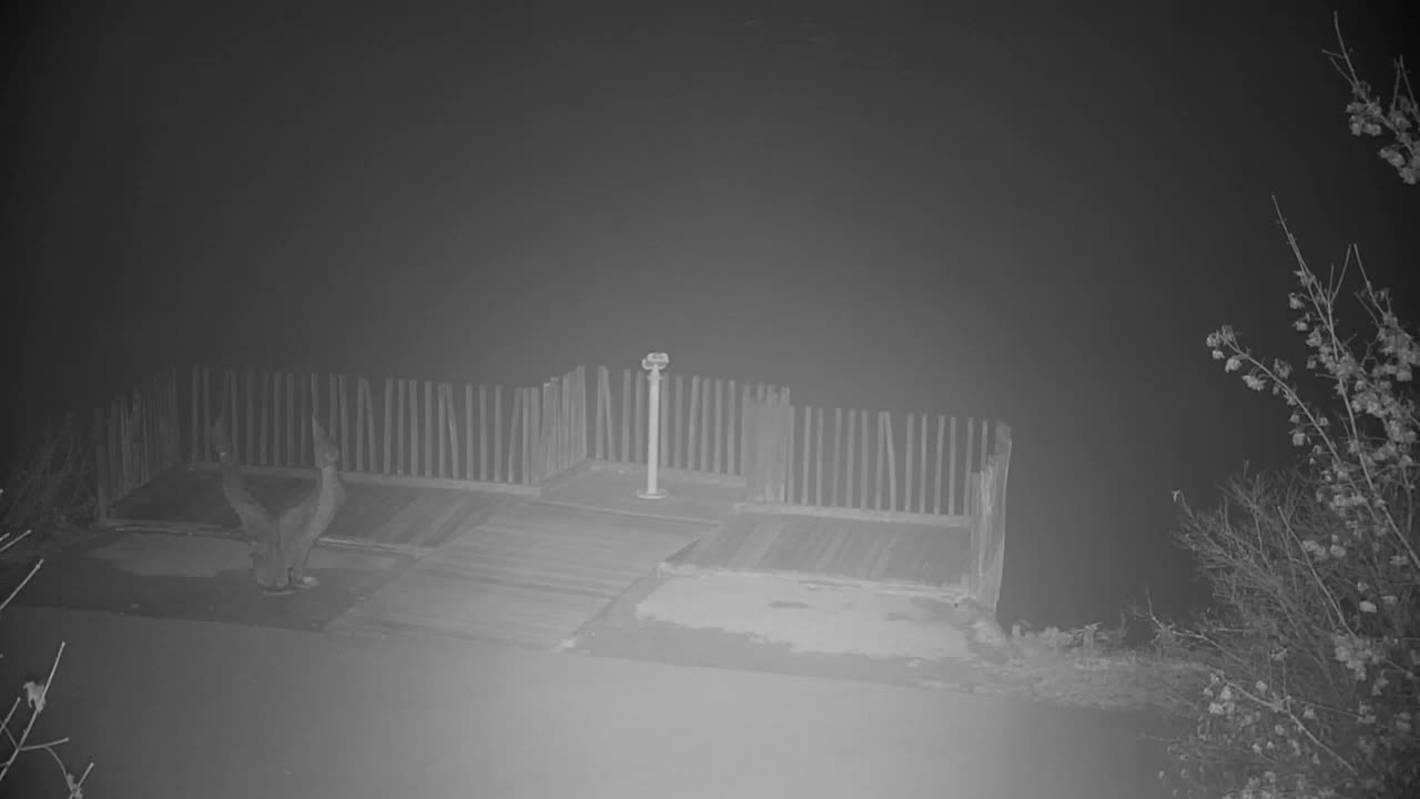 Webcam Ribnik Vrbje – Žalec