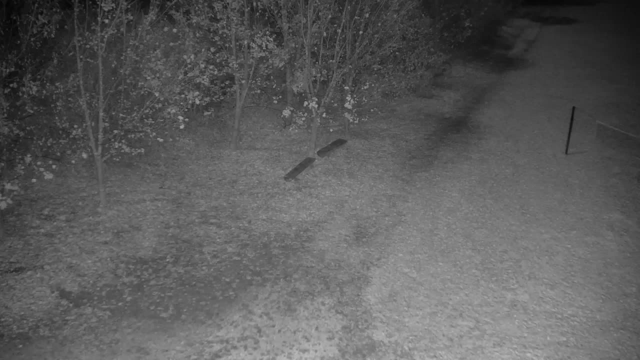 Webcam Ribnik Vrbje – Žalec