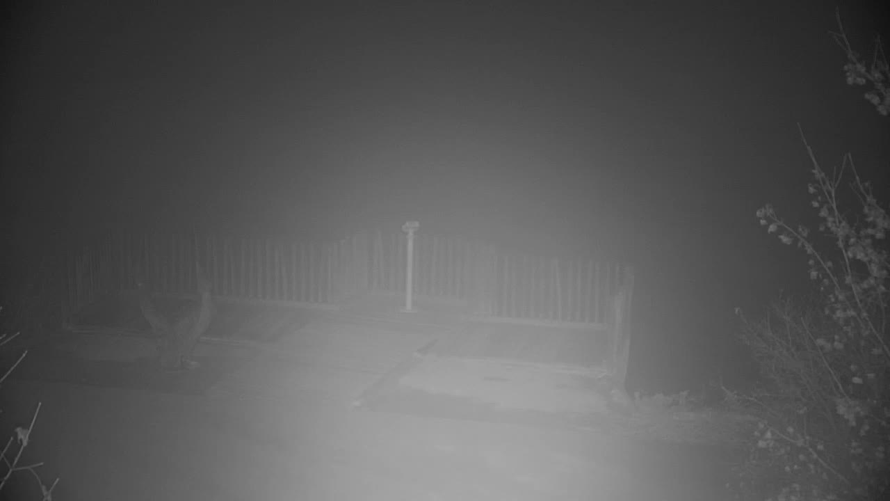 Webcam Ribnik Vrbje – Žalec