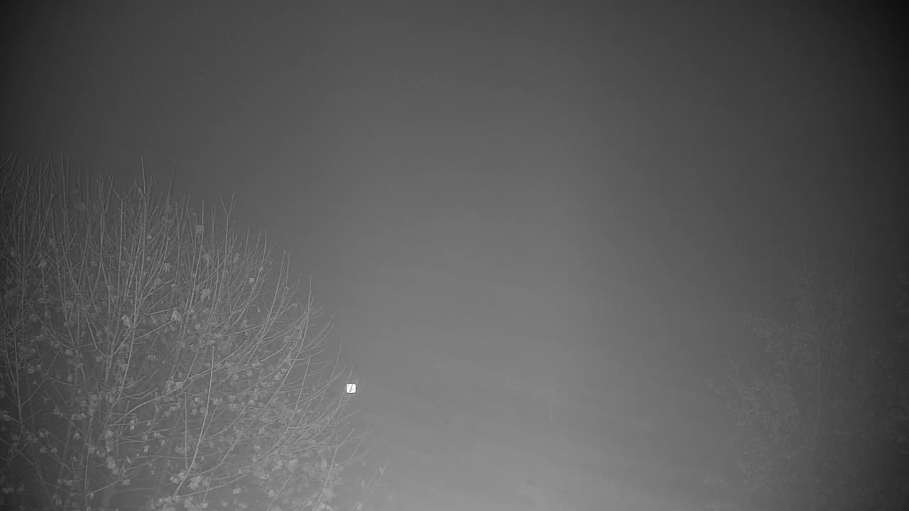 Webcam Ribnik Vrbje – Žalec