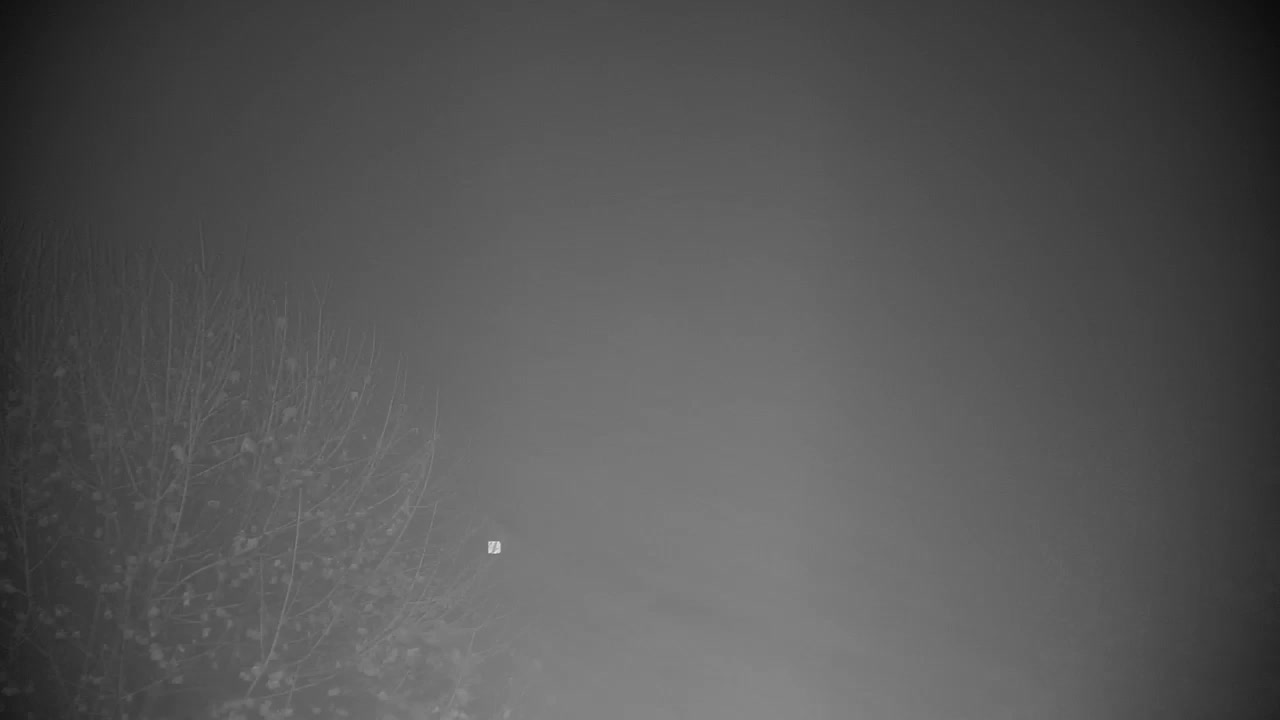 Webcam Ribnik Vrbje – Žalec