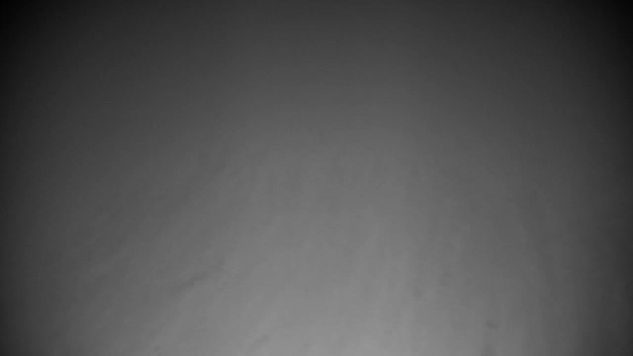 Webcam Ribnik Vrbje – Žalec