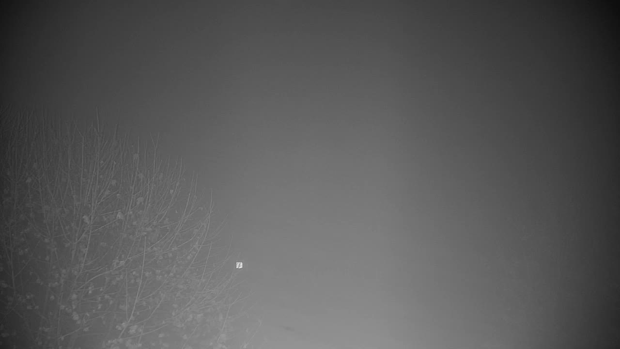 Webcam Ribnik Vrbje – Žalec