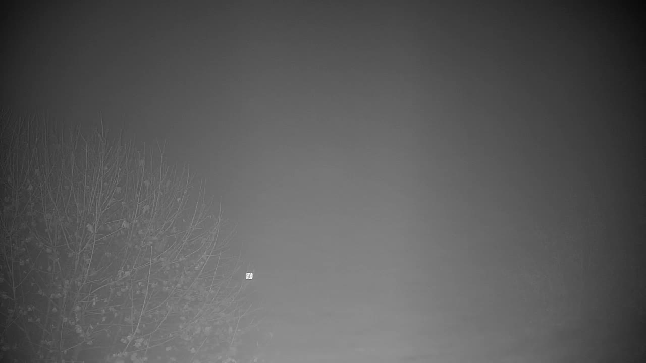 Webcam Ribnik Vrbje – Žalec