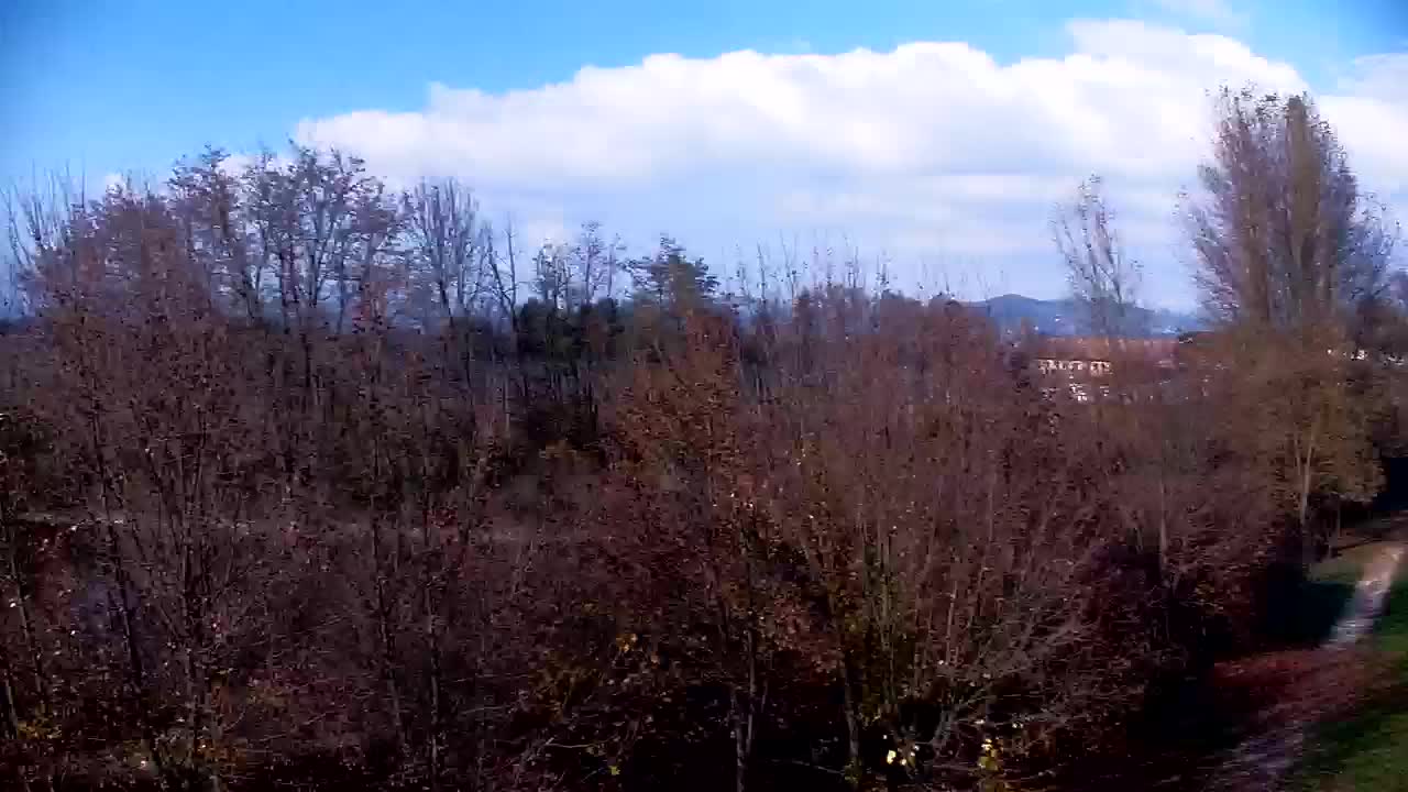 Webcam Ribnik Vrbje – Žalec