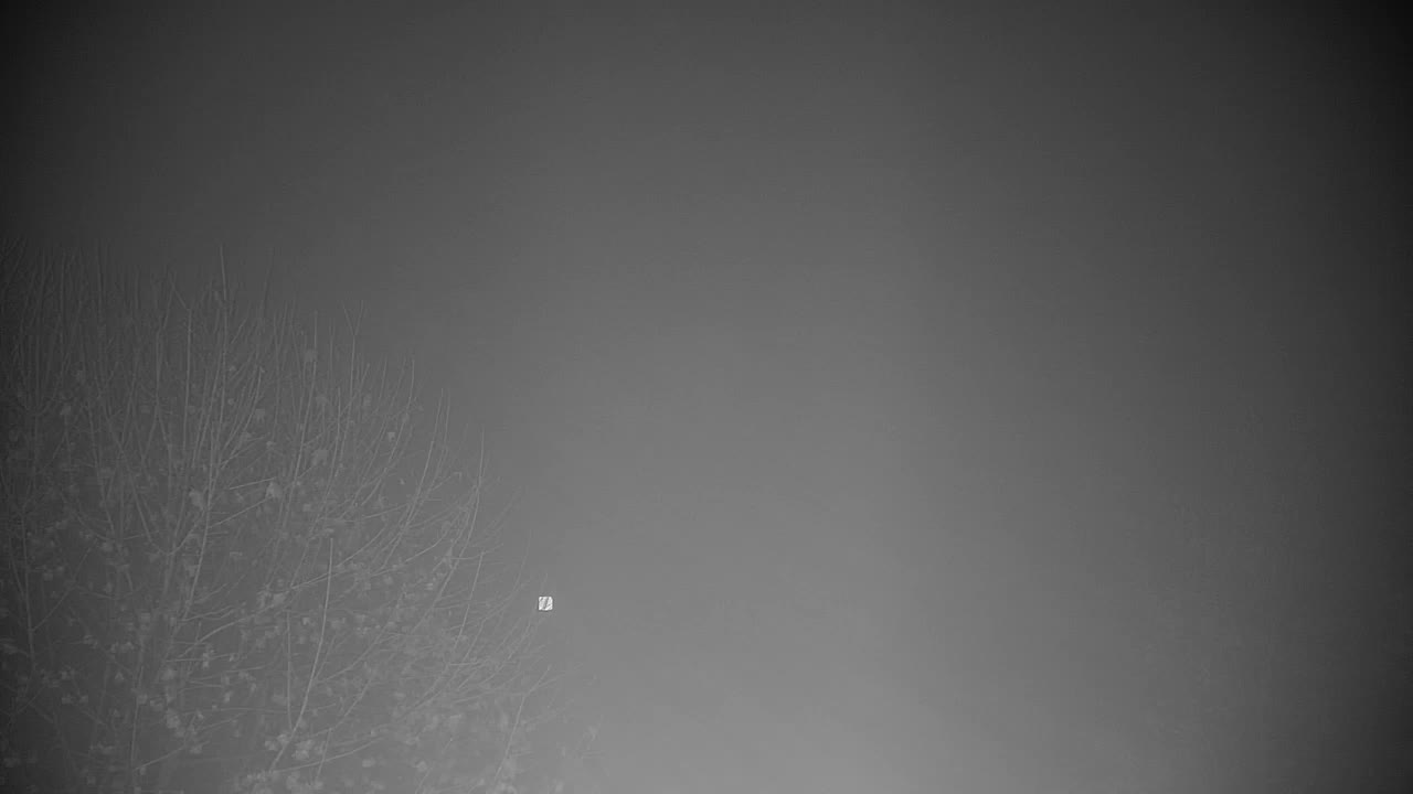 Webcam Ribnik Vrbje – Žalec